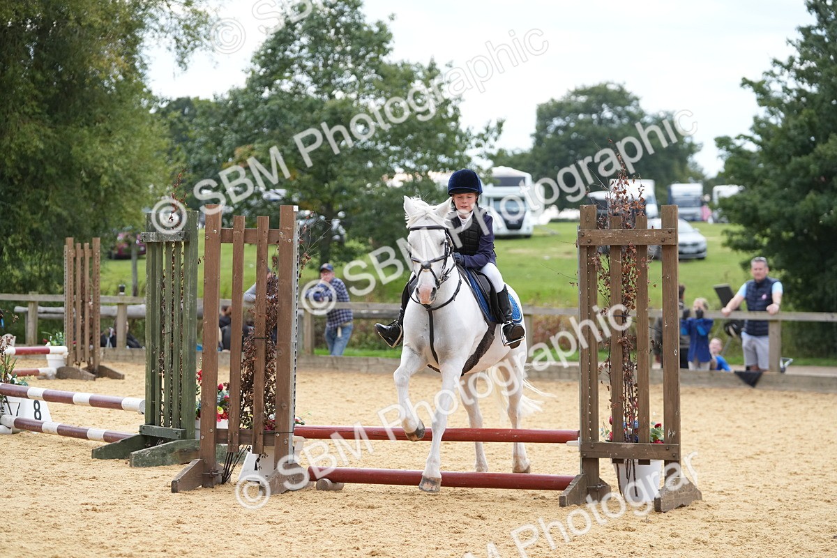 SBM_74766 - J4 - Mini Tour Junior Pony 45cm Championship