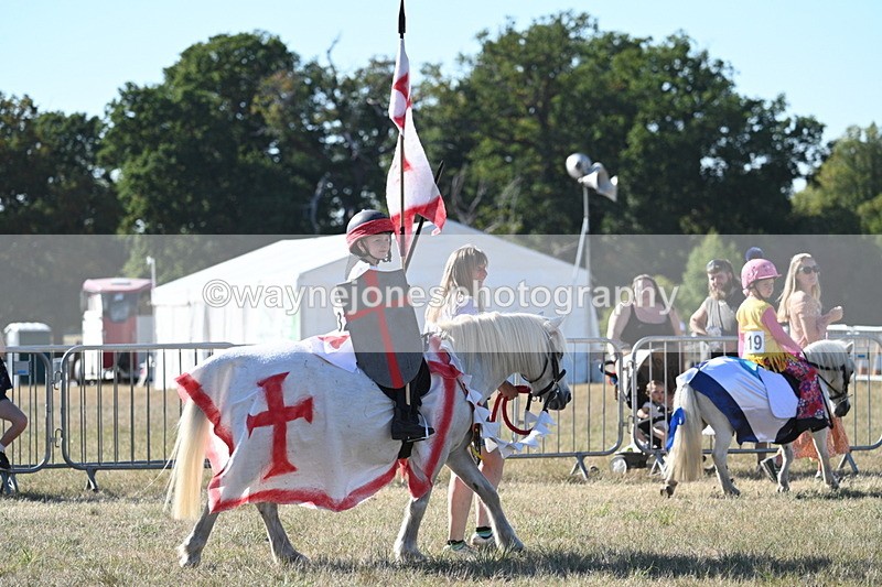 WJ7_2839 - Class 45 Fancy Dress (My Fav)