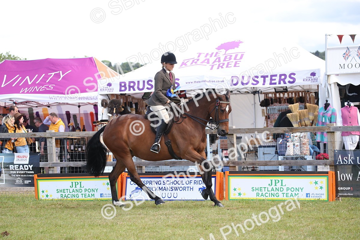 SBM_13287 - Class 95-96 - LIHS BSHA Rising Star Hack Riding Horse