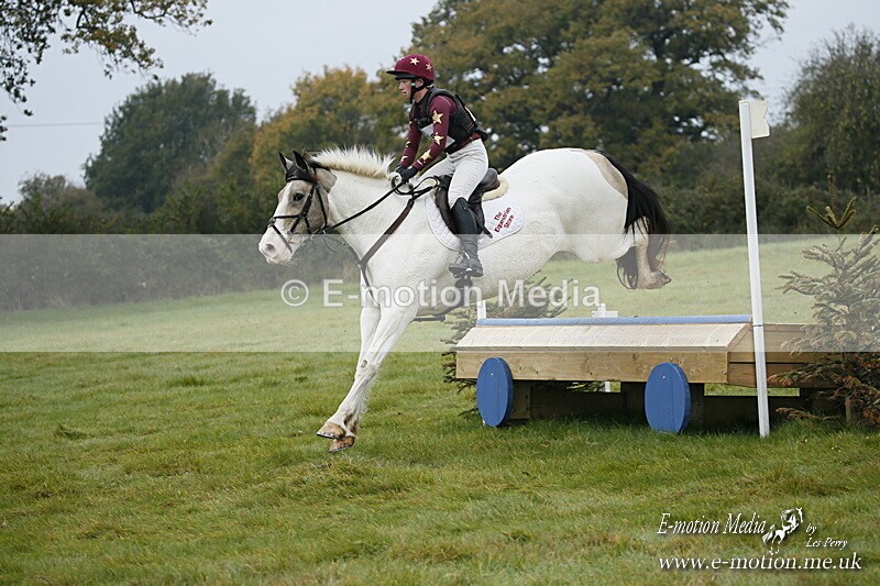 WWHT 181020 WWHT 181020 375 - WWEC Novice Restricted (0.80m) 18/10/20