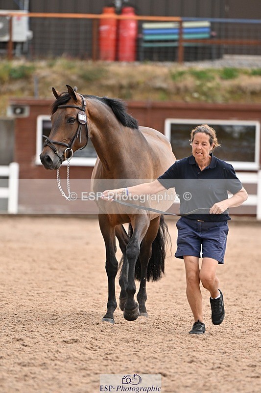250716-145326-01478 - Trot Up 2.30 to 3.30