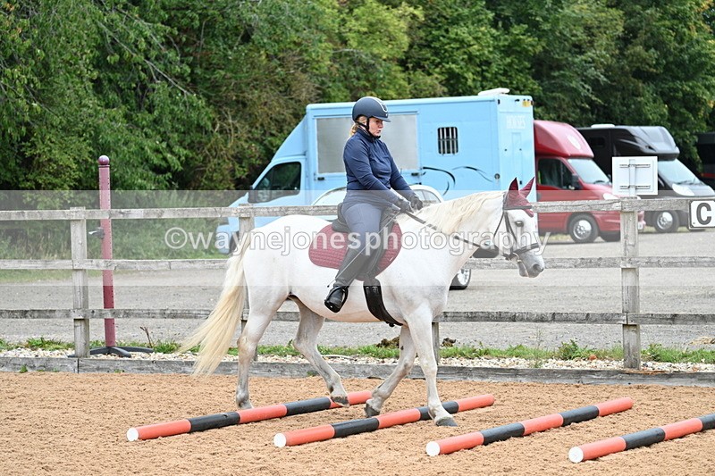 WJ7_7532 - Poles 10:00am