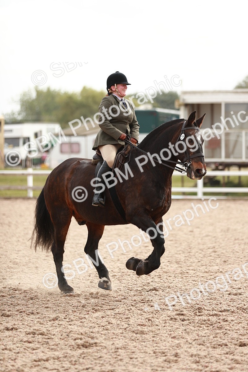 SBM_16783 - Class 214 Ridden Cob