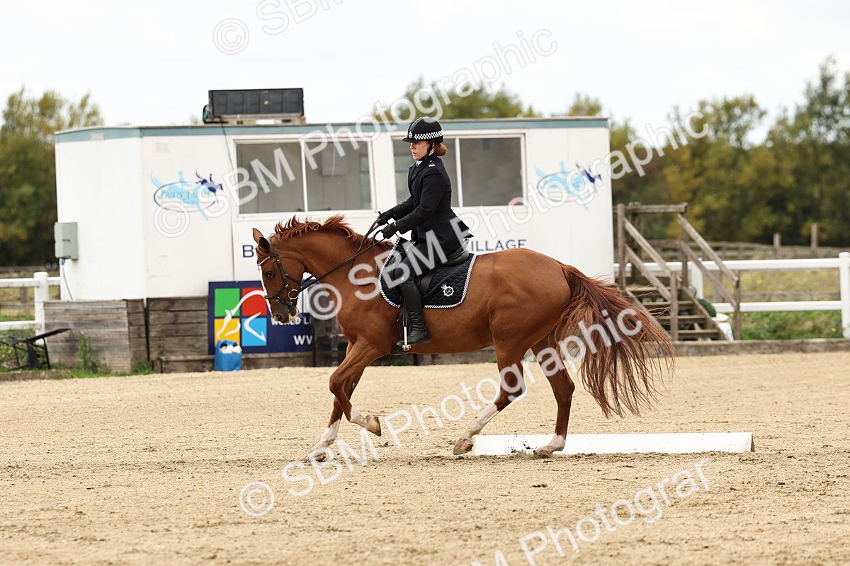 SBM_004575 - Class 69 - Novice 2