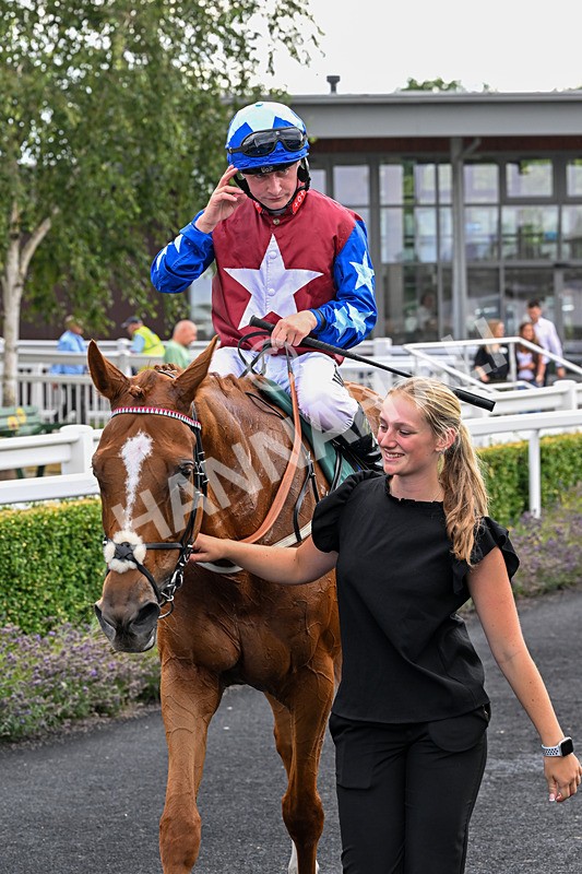 040826-Race 3-Free World-5186 - Race 3 15.15pm Jacky Rylance 60th Birthday Celebration Handicap