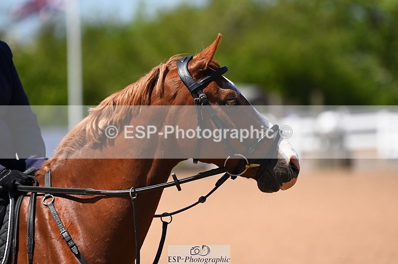 230526A-133350-01821 - Cls 10 85cm Amateur Quali