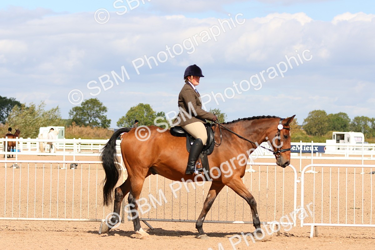SBM_13458 - Class 212 - Ridden Hunter  - Large