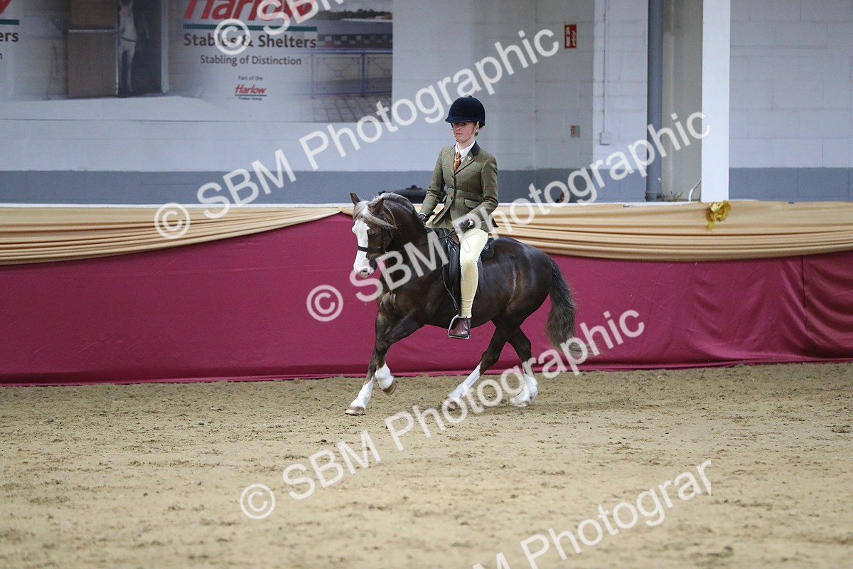 SBM_07282 - Class 10R Regional Ridden Diamond