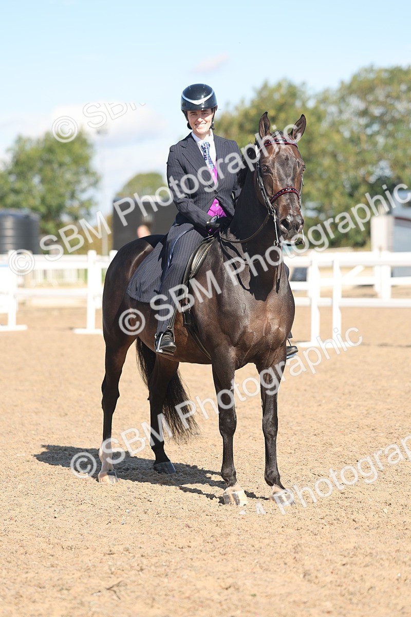 SBM_13065 - Class 305 - Ridden Foreign Breed Pure Bred