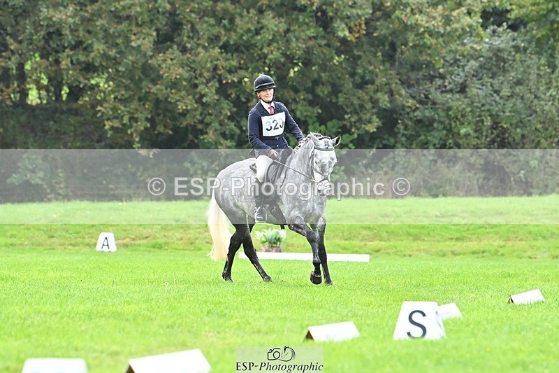 241024-115423-02544 - 320-Alice.Tollworthy-OUR.DOLPHIN.STAR