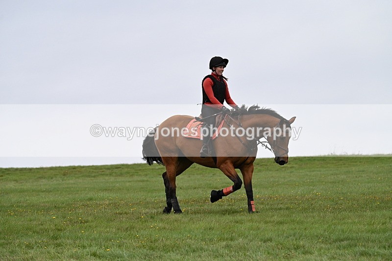 WJ7_8271 - Time 12:00 to 12:21