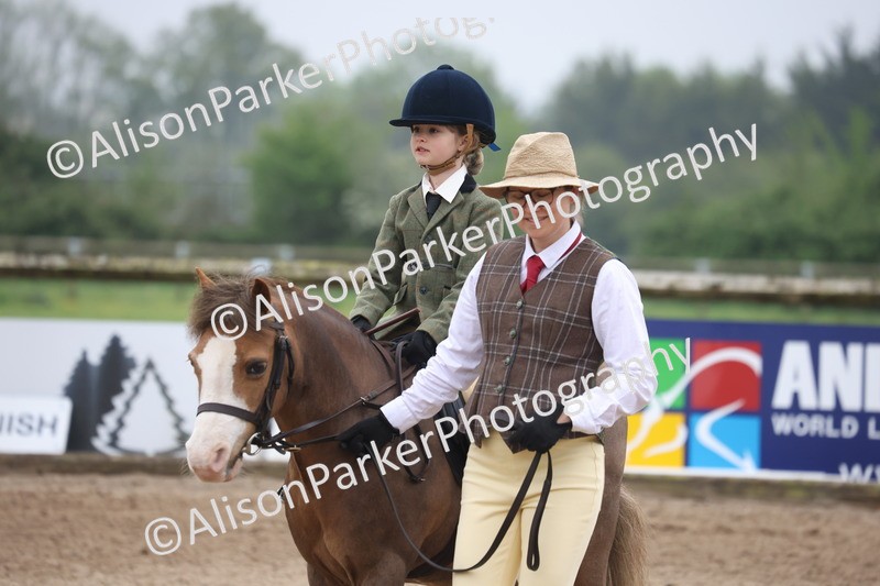 20260504-0097 - Class 9 - Lead Rein Pony