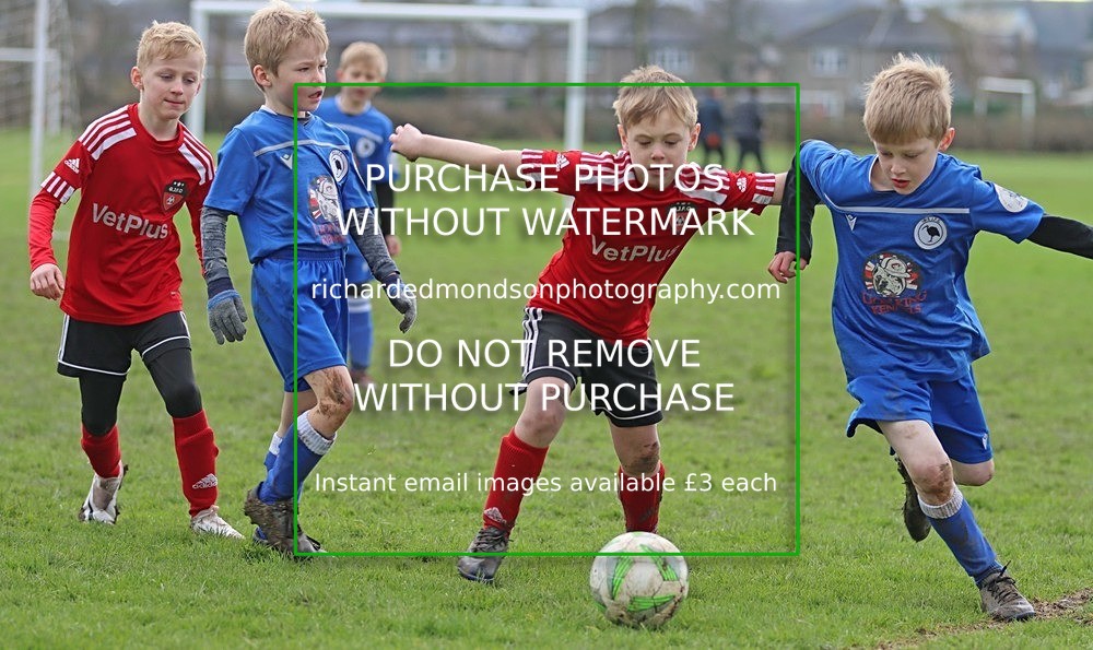IMG_7169 - Ibis Under 8's vs Grange Utd Under 8's (Saturday 24 February 2024)