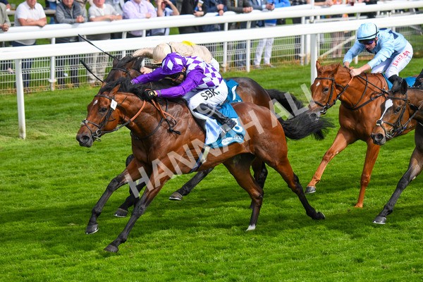 170523-Race 5-Dark Thirty-0703 - Race 5 4.10pm Conundrum HR Consulting Handicap