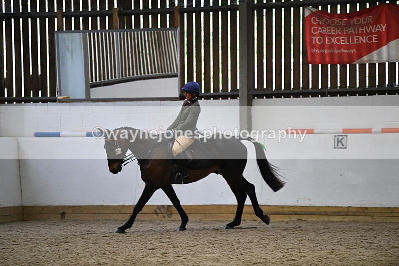 WJ5_8005 - Class 13 Ridden Part Breed