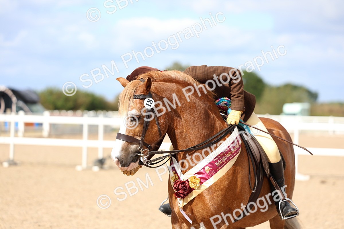 SBM_15861 - Class 314 - Family Horse - Pony