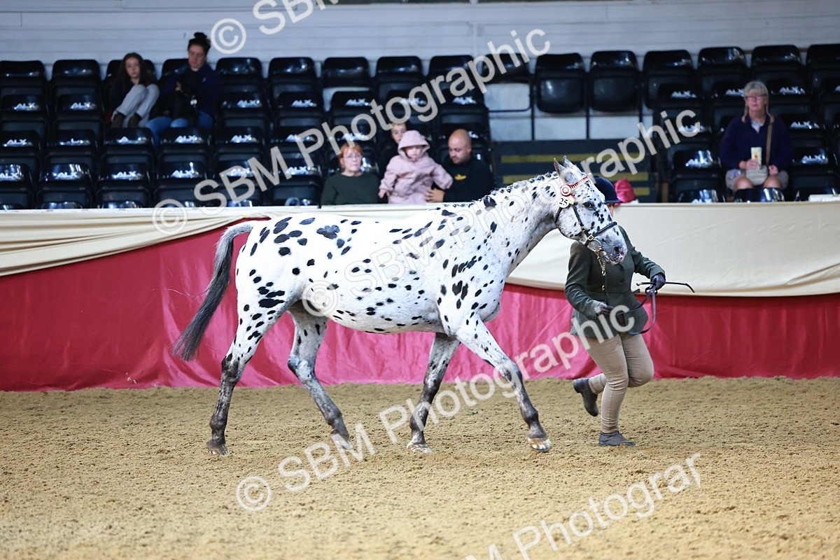 SBM_21782 - Class 901 - Supreme Final - IH  Diamond