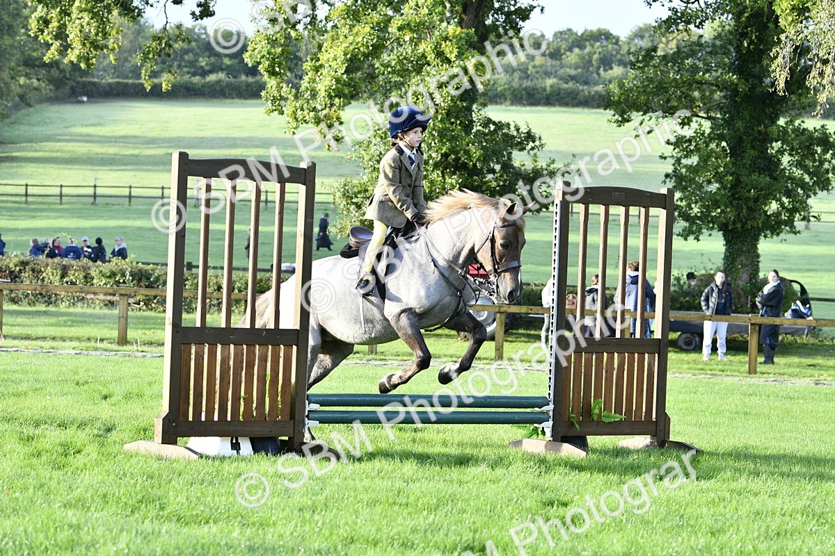 SBM_35385 - S30 - Nursery Stakes Working Hunter Pony