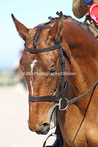 SIAL2225 - Outdoor championship & supreme