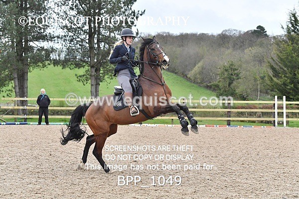 BPP_1049 - CLASS 2 Club/ Unaffiliated 80cms Open