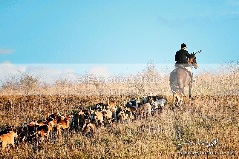 SP 051220 - 92ab - Equestrian