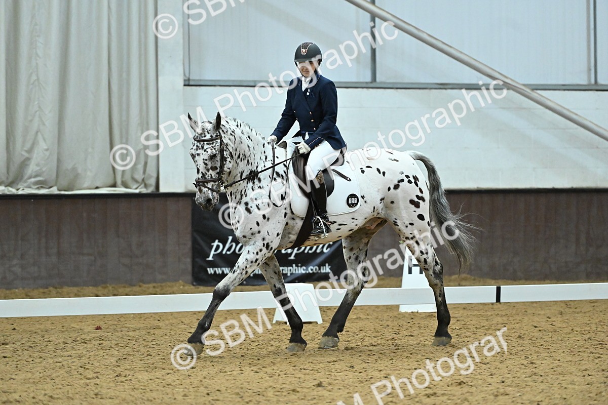 SBM_007498 - Class 81 - Novice 3