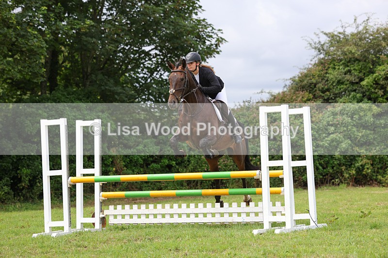 3E7A6917 - Class 5: Senior British Novice/90cm open
