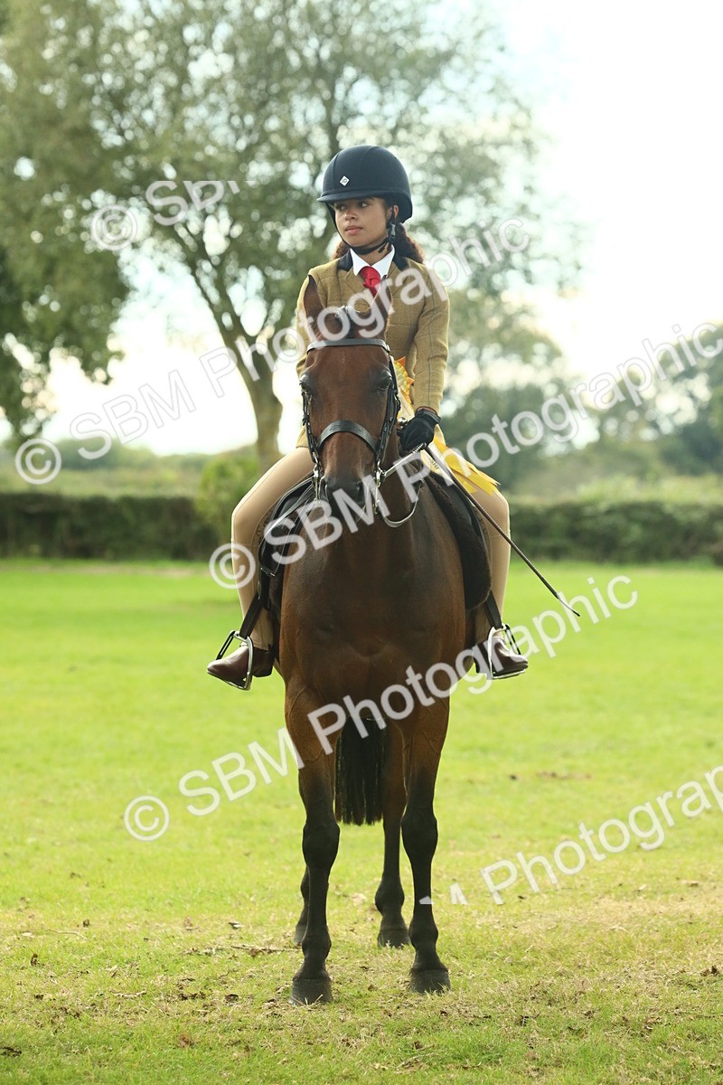 SBM_74153 - S 61 - Show Pony & Show Hunter Pony Ridden