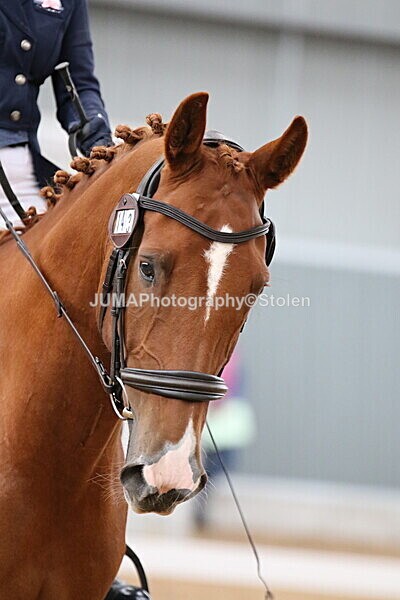 SIAL9389 - GDG Bogenraith Friday 26th Sept 2025