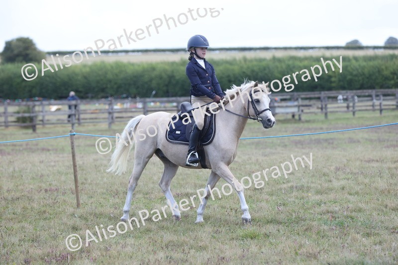 20250831-2367 - Class 16 - Family Pony