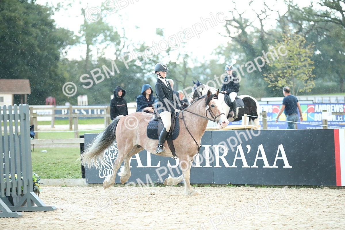 SBM_53807 - Supreme Championship 65cm 70cm