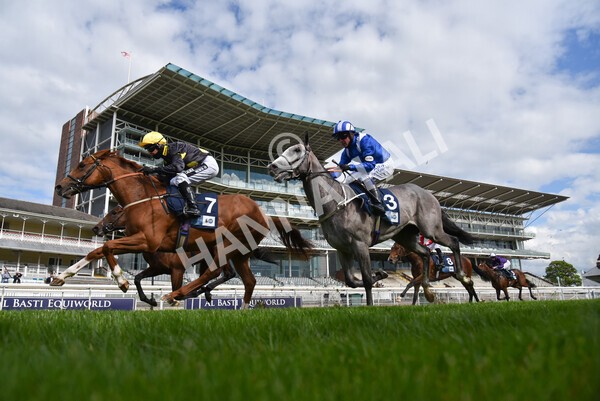 yr12052021r6-14 - Race 6 4.15pm British Stallion Studs EBF Novice Stakes