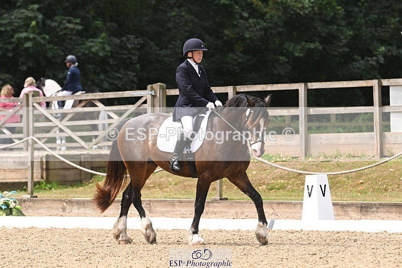 250720A-115819-10099 - 079-Amanda.Williams-Llanarth.Westminster