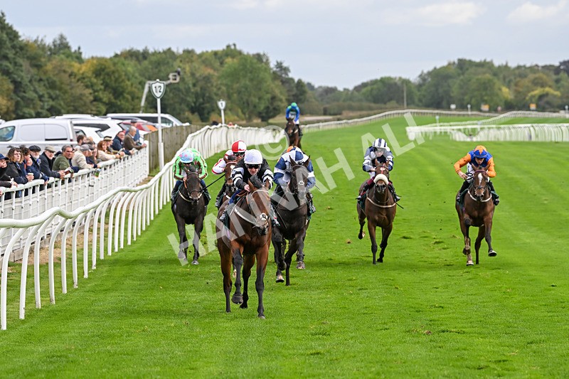 021024-Race 3-Kirkdale-9298 - Race 3