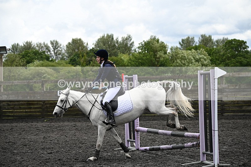 WJ6_0050 - Class 13 Novice 60cm