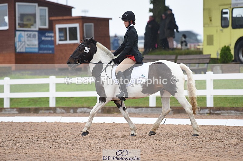 230708A-132048-01895 - Prelim 7