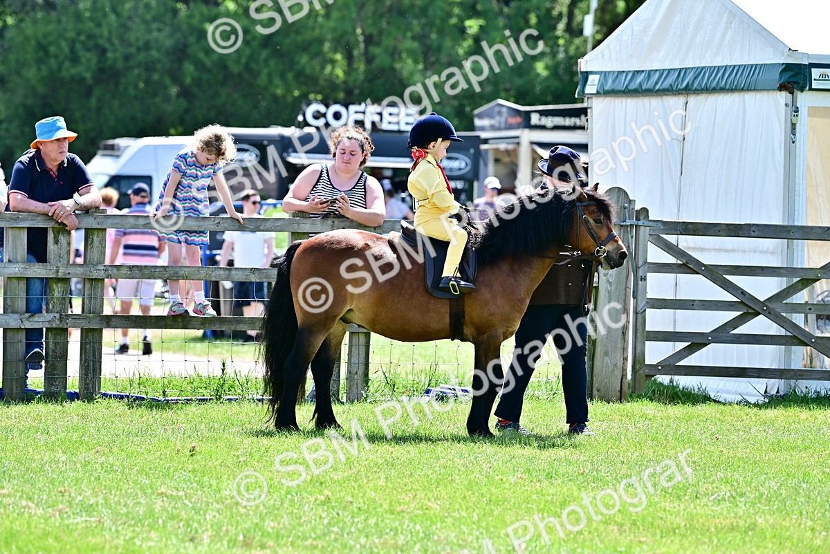 SBM_05780 - Class 59-60 - TSR M&M  Lear Rein and First Ridden Amateur of the year