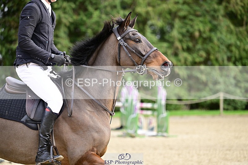 260214A-152645-01247 - 5 Newcomers and 1m 10 Open