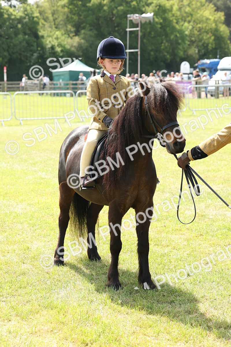 SBM_05229 - Class 24-25 - Mountain & Moorland In Hand Lead Rein and First Ridden