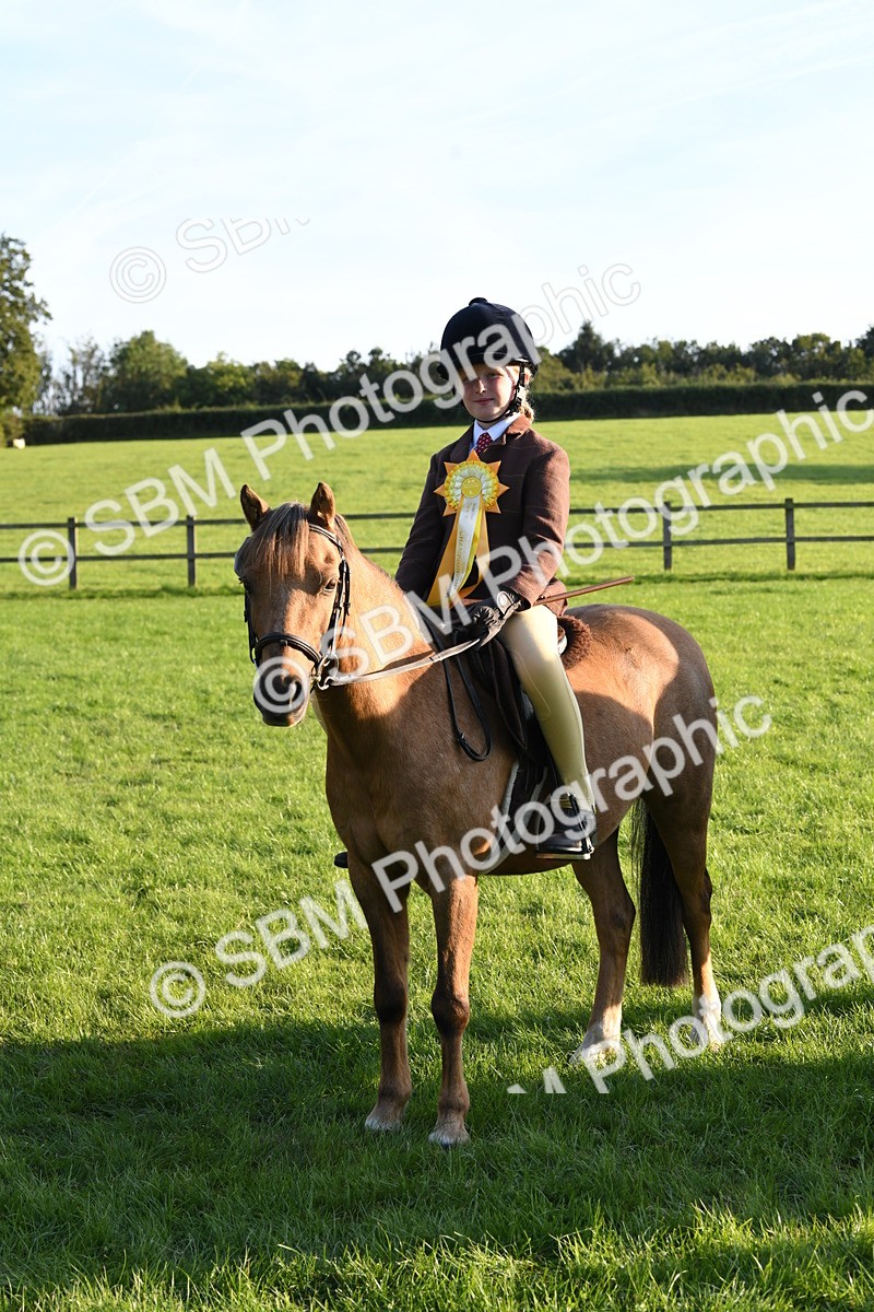 SBM_54178 - S23 - 1st Ridden Mountain & Moorland Pony