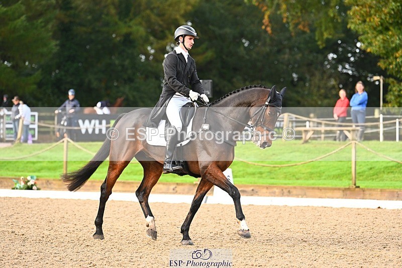 231021-091406-12800 - 324-HAZZLE.DAZZLE-Henry.Hobby-DR