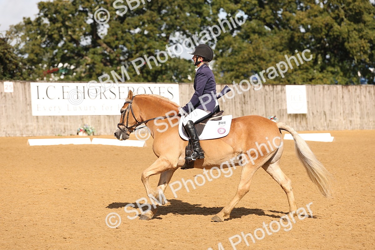 SBM_37686 - D18 - Grand Tour Championship Novice 2