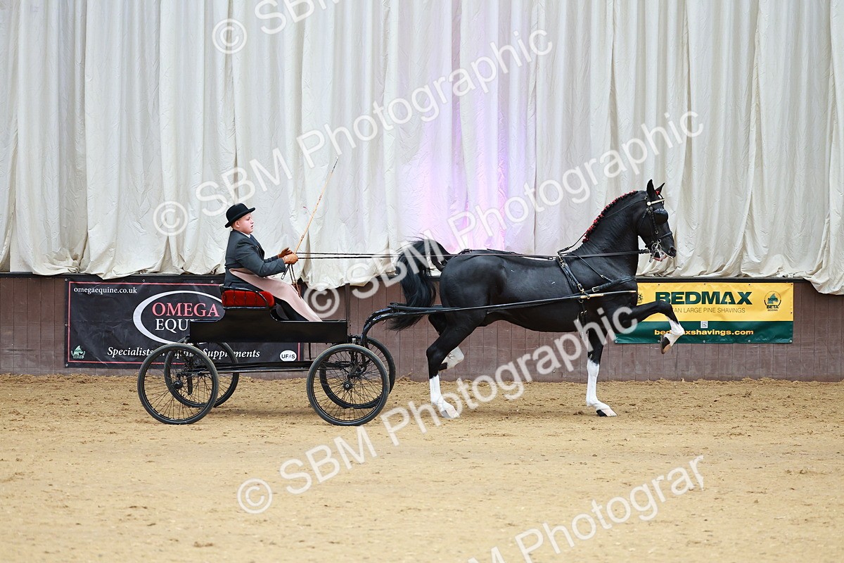 SBM_001005 - Class 13  - HHS Championship Intl Hackney Horse to a Show Wagon