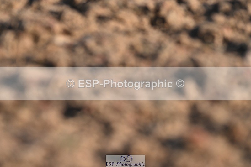 260626-191410-01162 - Cls 9 Winter-Summer