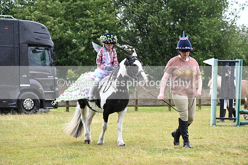 WJ6_9105 - Class 11 Fancy Dress
