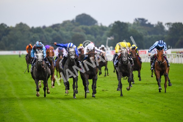 yr21082021r2-9 - Race 2 2.25pm Sky Bet Melrose Stakes