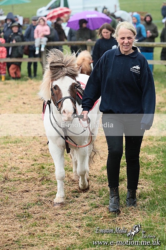 SHETPR 210425 34 - Shetland Ponies Paxford Races 21/04/25