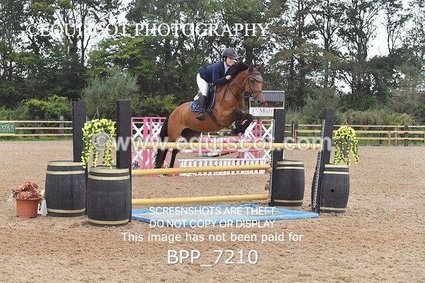 BPP_7210 - CLASS 5 Senior Foxhunter/ 1.20m Open