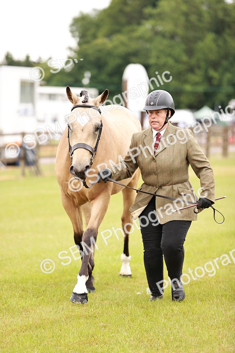 SBM_00712 - Class 26-30 Sport Horse In Hand