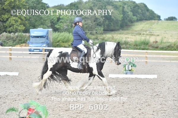 BPP_6002 - PRELIM TEST 5 LONG ARENA